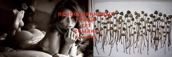 мефедрон мука Богданович