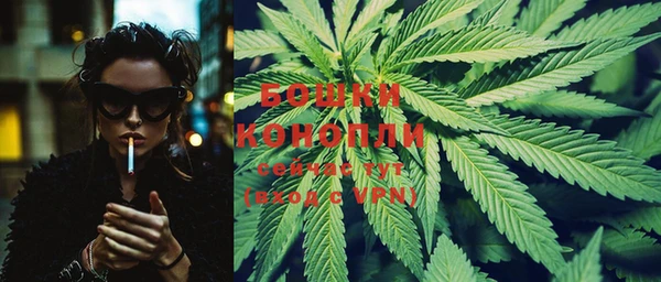 PSILOCYBIN Богородск