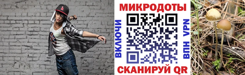 Псилоцибиновые грибы Cubensis  гидра сайт  Сосногорск 