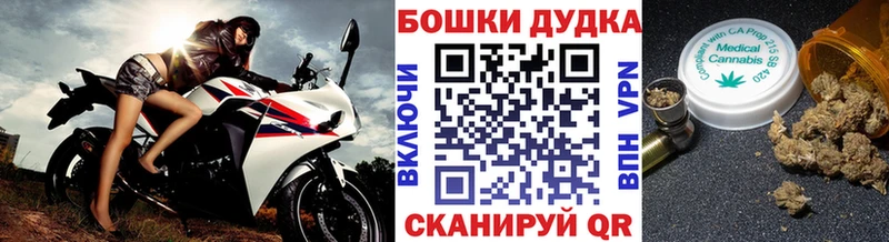 Конопля Bruce Banner  Сосногорск 
